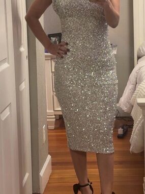 Sparkling Silver Sequin Bodycon Dress